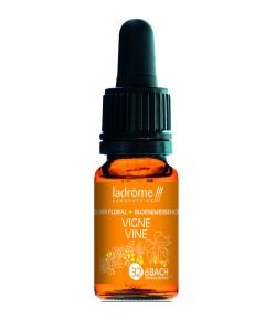 Vigne - Vine (n°32) BIO, 10 ml